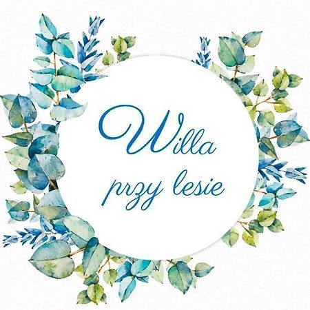 Przytulny Pokoj W Zacisznej Okolicy Z Lazienka Wspolna Dla Dwoch Pokoi 索波特 外观 照片